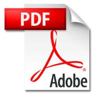 Icono PDF